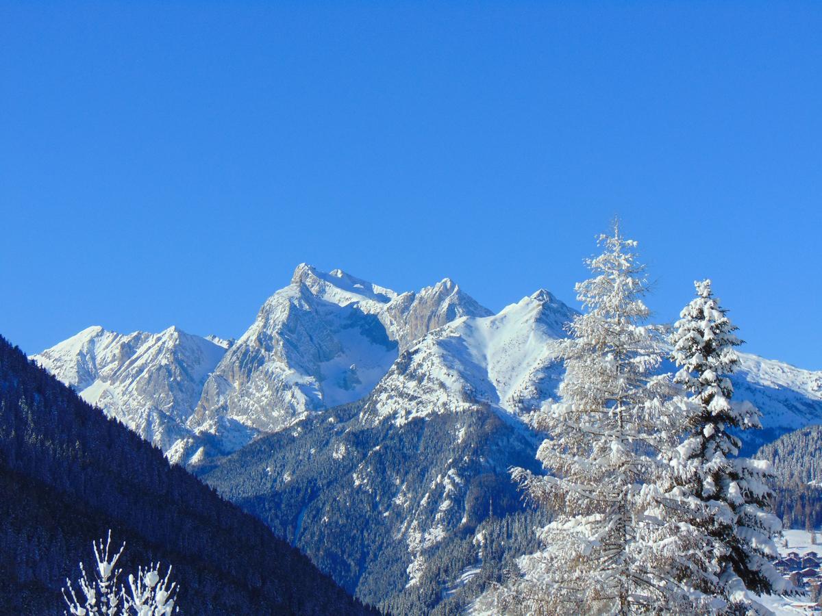 Hotel Garni la Stua Selva di Cadore Esterno foto